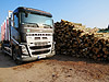 Ciężarowy transport drewna