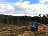 forwarder przy pracy