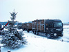 Transport drewna zimą